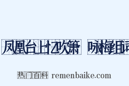 凤凰台上忆吹箫·咏梅组词是什么意思的图片